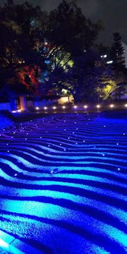 博多ライトアップウォーク実行委員会に投稿された画像（2024/11/4）