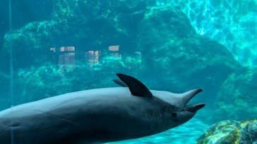 名古屋港水族館に投稿された画像（2024/11/4）