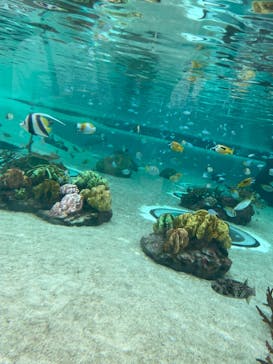 鴨川シーワールドに投稿された画像（2024/11/4）