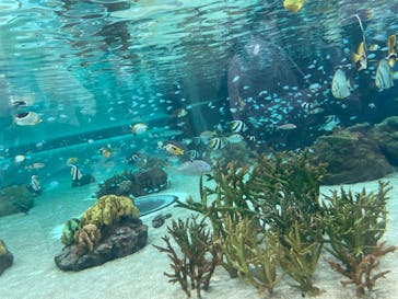 鴨川シーワールドに投稿された画像（2024/11/4）