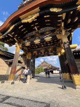 元離宮二条城に投稿された画像（2024/11/4）