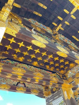 元離宮二条城に投稿された画像（2024/11/4）