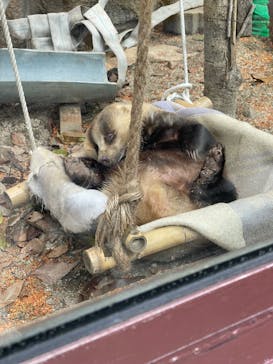 天王寺動物園に投稿された画像（2024/11/4）