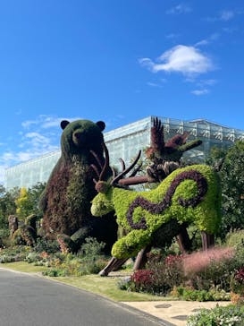 はままつフラワーパークに投稿された画像（2024/11/4）