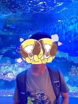 しながわ水族館に投稿された画像（2024/11/4）