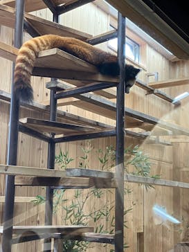 名古屋市東山動植物園に投稿された画像（2024/11/4）