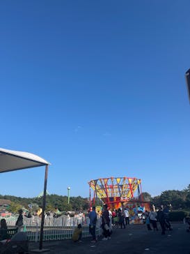 国営ひたち海浜公園プレジャーガーデンに投稿された画像（2024/11/4）