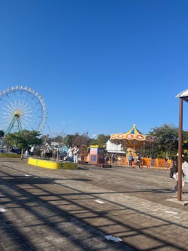 国営ひたち海浜公園プレジャーガーデンに投稿された画像（2024/11/4）