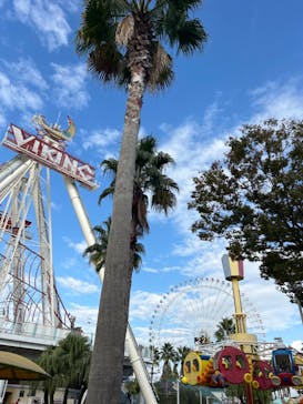 ナガシマスパーランドに投稿された画像（2024/11/4）