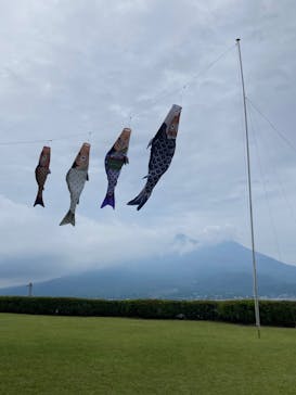 仙巌園に投稿された画像（2024/11/4）