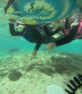 沖縄マリンサービス碧に投稿された画像（2024/11/4）