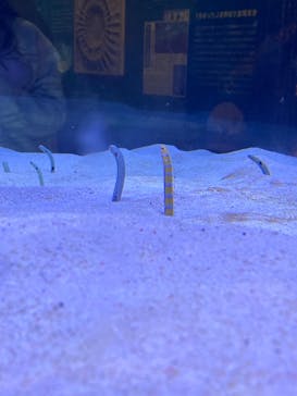 マリンワールド海の中道に投稿された画像（2024/11/4）