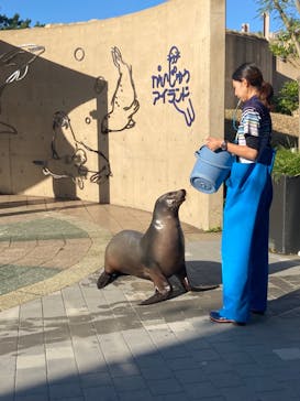 マリンワールド海の中道に投稿された画像（2024/11/4）