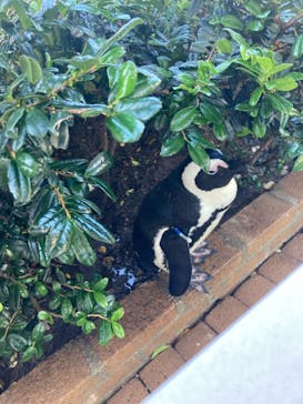 マリンワールド海の中道に投稿された画像（2024/11/4）