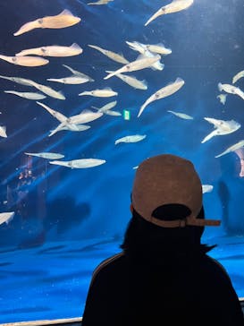 マリンワールド海の中道に投稿された画像（2024/11/4）