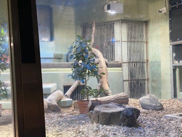 名古屋市東山動植物園に投稿された画像（2024/11/4）