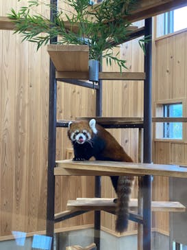 名古屋市東山動植物園に投稿された画像（2024/11/4）