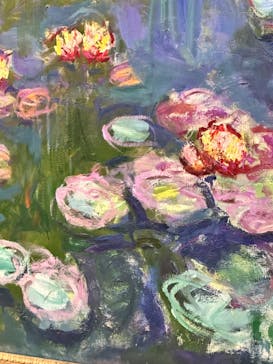 モネ 睡蓮のとき（国立西洋美術館）に投稿された画像（2024/11/4）