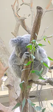 多摩動物公園に投稿された画像（2024/11/4）