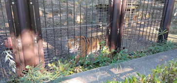 多摩動物公園に投稿された画像（2024/11/4）