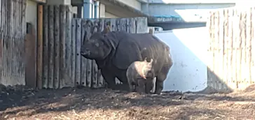 多摩動物公園に投稿された画像（2024/11/4）