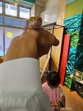 いきもの探検隊上尾に投稿された画像（2024/11/4）