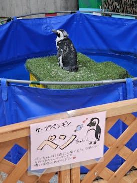 いきもの探検隊上尾に投稿された画像（2024/11/4）