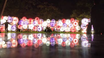 国営昭和記念公園 秋の夜散歩に投稿された画像（2024/11/4）
