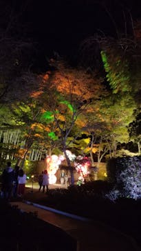 国営昭和記念公園 秋の夜散歩に投稿された画像（2024/11/4）