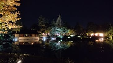 国営昭和記念公園 秋の夜散歩に投稿された画像（2024/11/4）