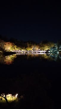 国営昭和記念公園 秋の夜散歩に投稿された画像（2024/11/4）