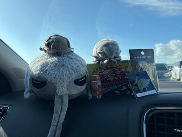 竹島水族館に投稿された画像（2024/11/4）