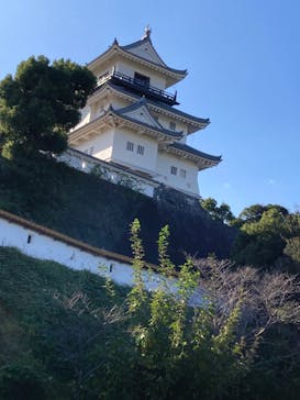 掛川城に投稿された画像（2024/11/4）