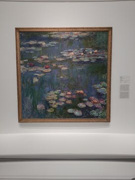 モネ 睡蓮のとき（国立西洋美術館）に投稿された画像（2024/11/4）