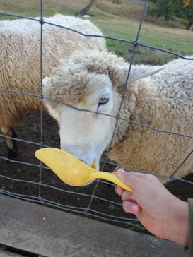 那須どうぶつ王国に投稿された画像（2024/11/4）