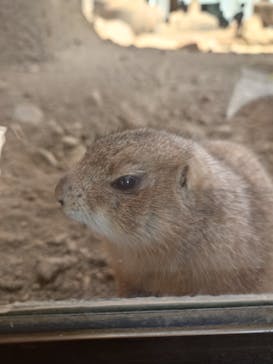 那須どうぶつ王国に投稿された画像（2024/11/4）