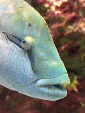 NIFREL（ニフレル）に投稿された画像（2024/11/4）