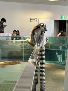 NIFREL（ニフレル）に投稿された画像（2024/11/4）