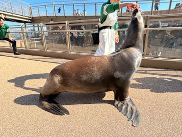 アクアワールド茨城県大洗水族館に投稿された画像（2024/11/4）