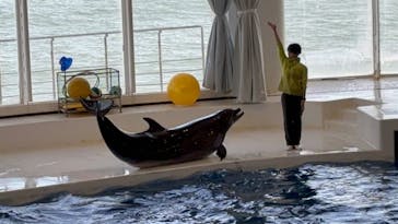 アクアワールド茨城県大洗水族館に投稿された画像（2024/11/4）