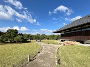 元離宮二条城に投稿された画像（2024/11/4）