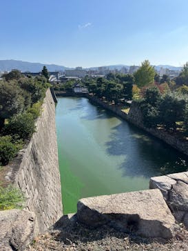 元離宮二条城に投稿された画像（2024/11/4）