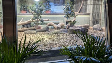 名古屋市東山動植物園に投稿された画像（2024/11/4）