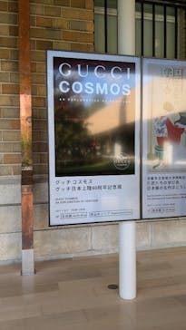 GUCCI COSMOSに投稿された画像（2024/11/4）