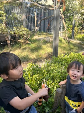 恩賜上野動物園に投稿された画像（2024/11/4）