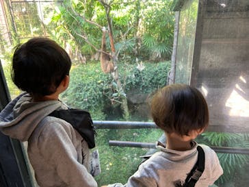 恩賜上野動物園に投稿された画像（2024/11/4）