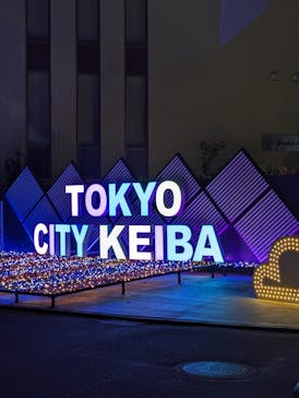 東京メガイルミに投稿された画像（2024/11/4）