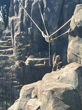 東武動物公園に投稿された画像（2024/11/4）