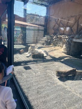 東武動物公園に投稿された画像（2024/11/4）