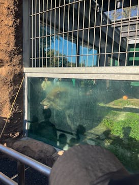 東武動物公園に投稿された画像（2024/11/4）